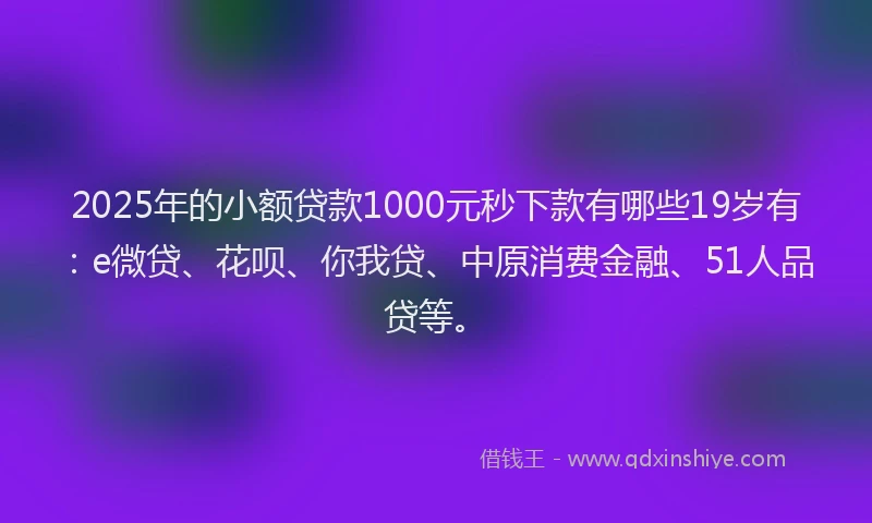 2025年的小额贷款1000元秒下款有哪些19岁有：e微贷、花呗、你我贷、中原消费金融、51人品贷等。