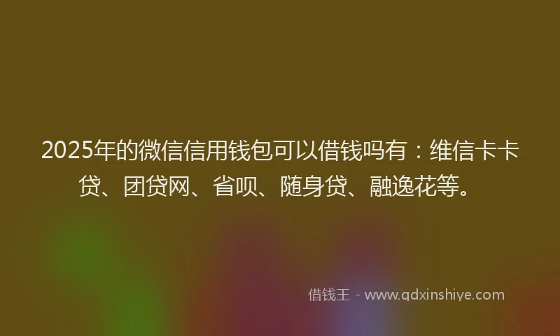 2025年的微信信用钱包可以借钱吗有：维信卡卡贷、团贷网、省呗、随身贷、融逸花等。