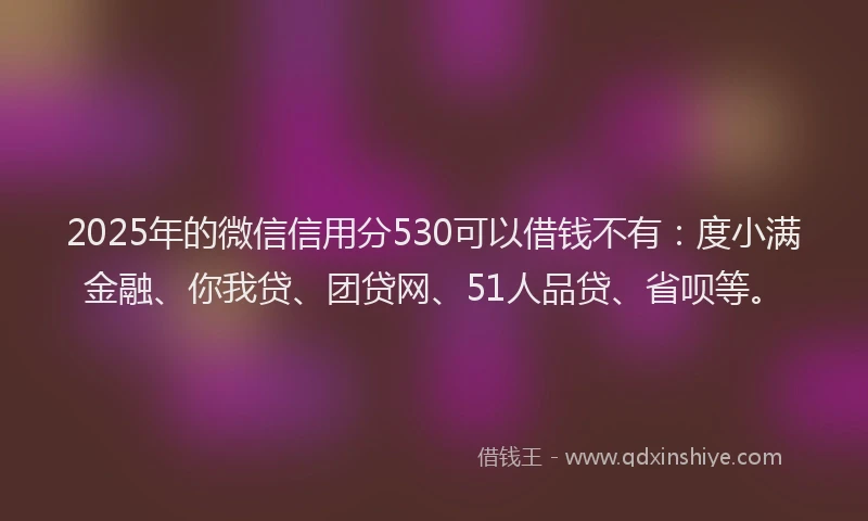 2025年的微信信用分530可以借钱不有：度小满金融、你我贷、团贷网、51人品贷、省呗等。