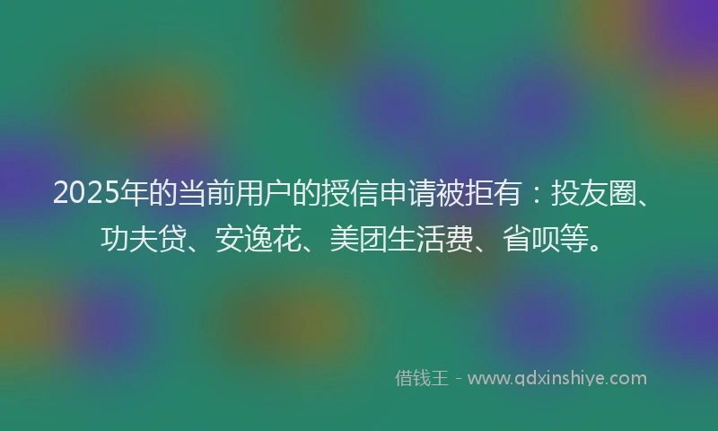 2025年的当前用户的授信申请被拒有：投友圈、功夫贷、安逸花、美团生活费、省呗等。