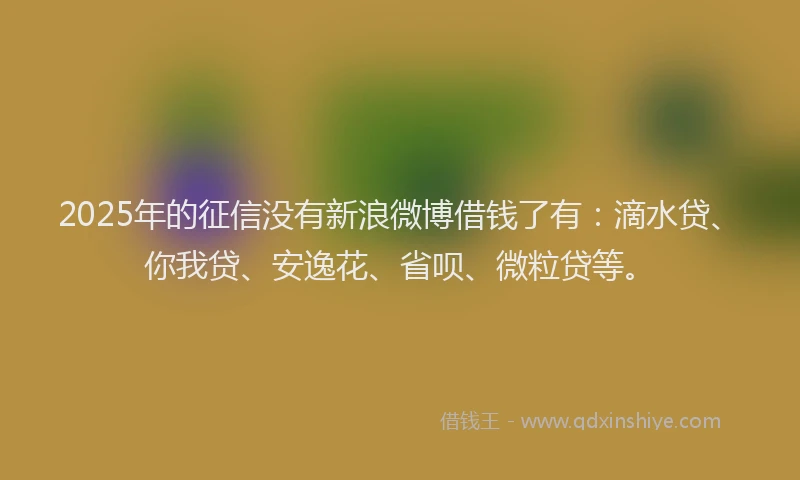 2025年的征信没有新浪微博借钱了有：滴水贷、你我贷、安逸花、省呗、微粒贷等。