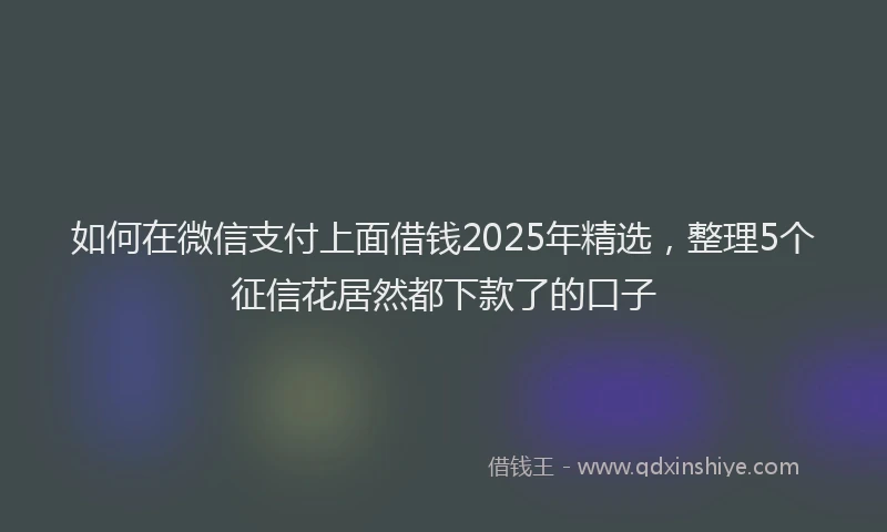 如何在微信支付上面借钱2025年精选，整理5个征信花居然都下款了的口子