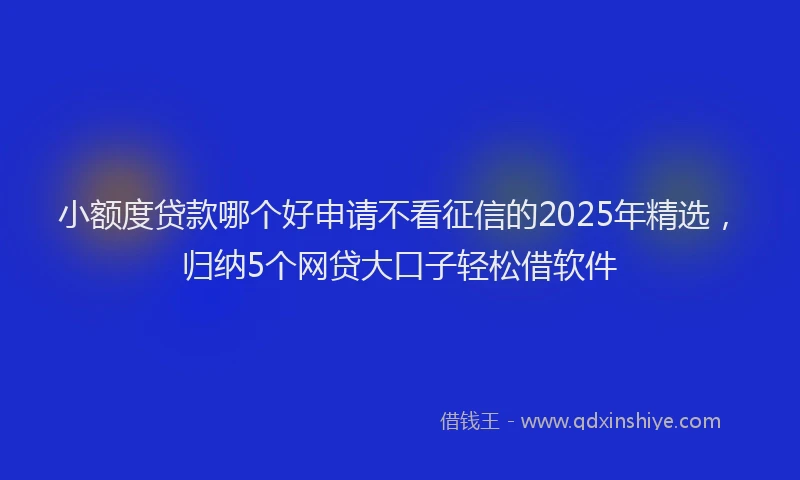 小额度贷款哪个好申请不看征信的2025年精选，归纳5个网贷大口子轻松借软件