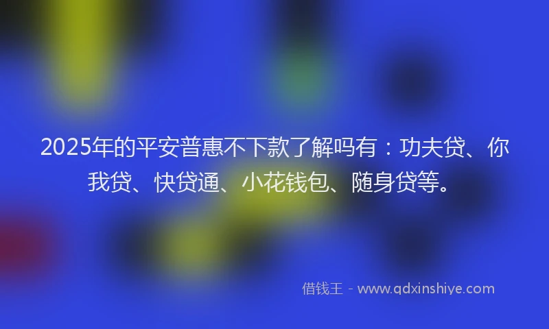 2025年的平安普惠不下款了解吗有：功夫贷、你我贷、快贷通、小花钱包、随身贷等。