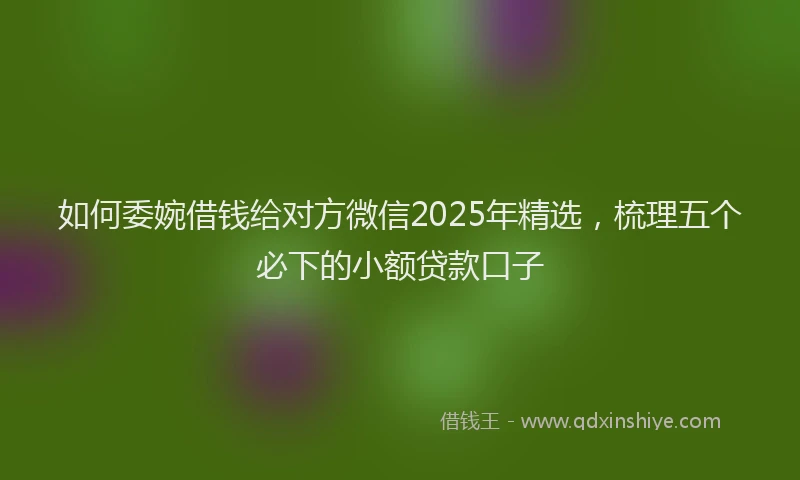 如何委婉借钱给对方微信2025年精选，梳理五个必下的小额贷款口子