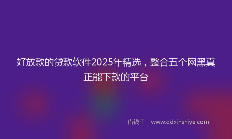 好放款的贷款软件2025年精选，整合五个网黑真正能下款的平台