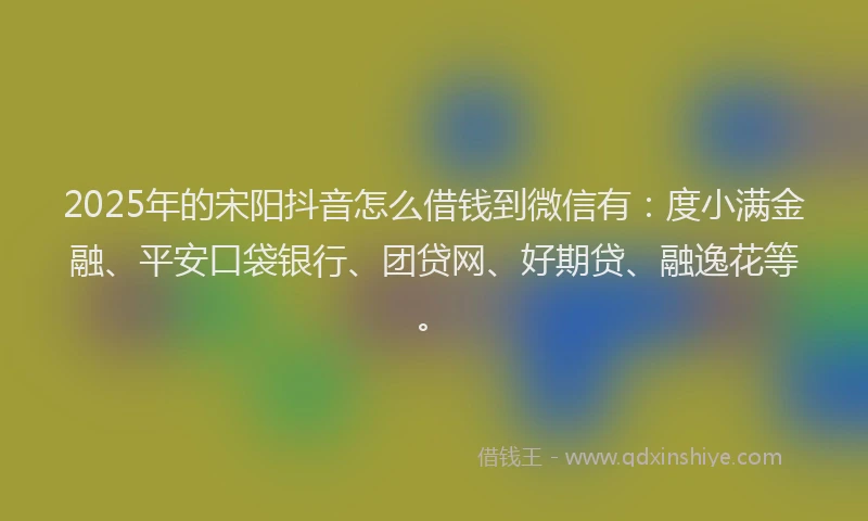 2025年的宋阳抖音怎么借钱到微信有：度小满金融、平安口袋银行、团贷网、好期贷、融逸花等。