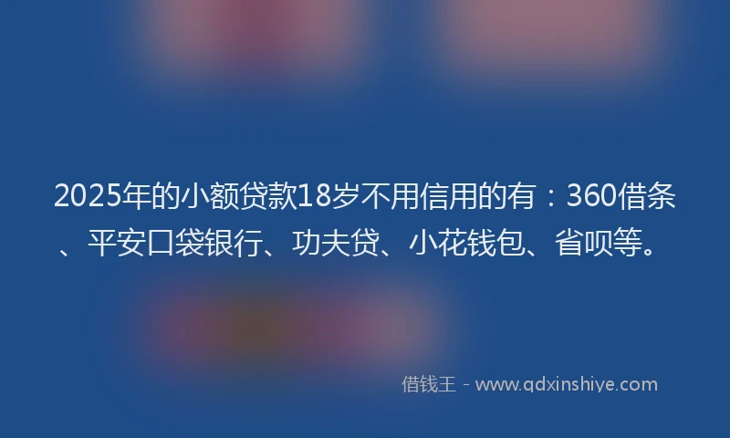 2025年的小额贷款18岁不用信用的有：360借条、平安口袋银行、功夫贷、小花钱包、省呗等。