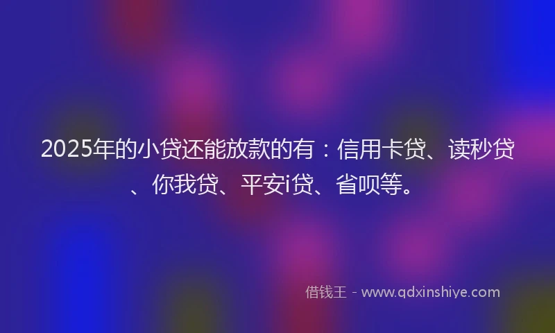 2025年的小贷还能放款的有：信用卡贷、读秒贷、你我贷、平安i贷、省呗等。