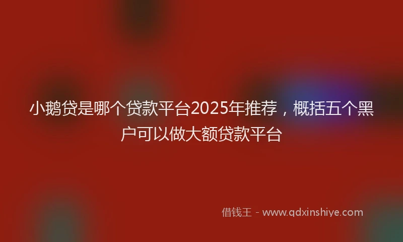小鹅贷是哪个贷款平台2025年推荐，概括五个黑户可以做大额贷款平台