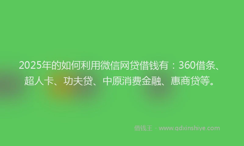 2025年的如何利用微信网贷借钱有：360借条、超人卡、功夫贷、中原消费金融、惠商贷等。