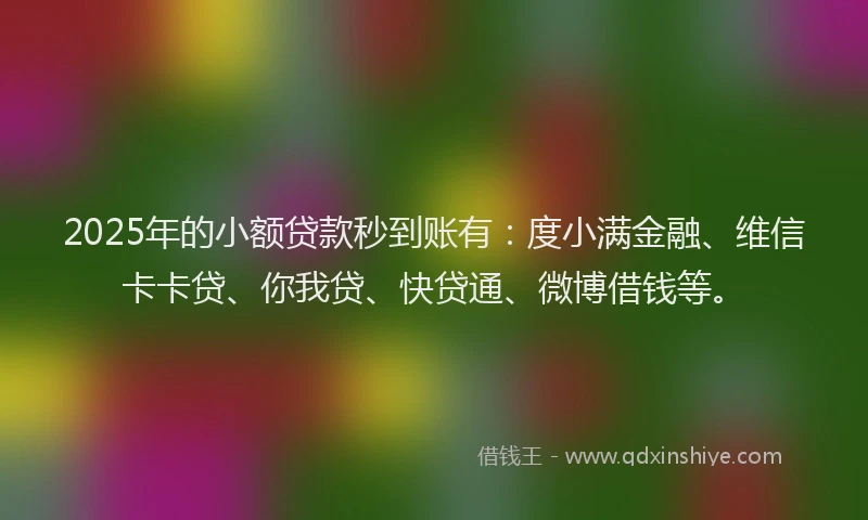 2025年的小额贷款秒到账有：度小满金融、维信卡卡贷、你我贷、快贷通、微博借钱等。
