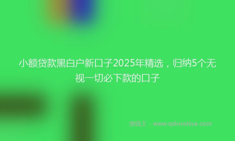 小额贷款黑白户新口子2025年精选，归纳5个无视一切必下款的口子