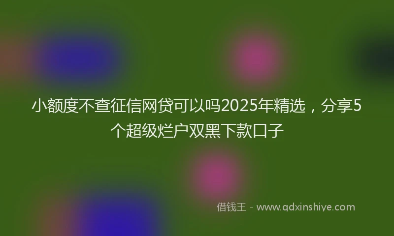 小额度不查征信网贷可以吗2025年精选，分享5个超级烂户双黑下款口子