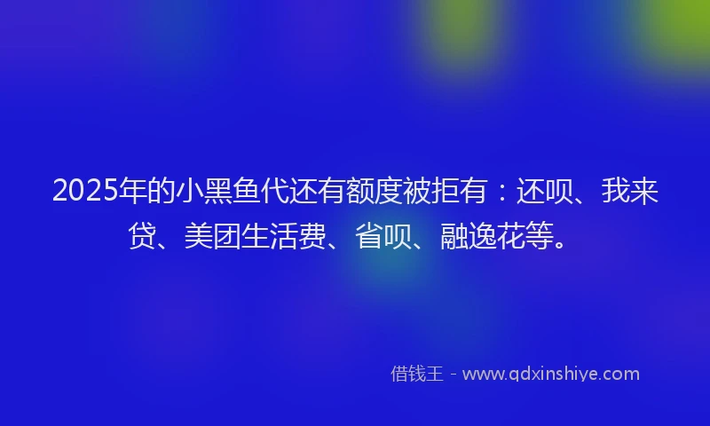2025年的小黑鱼代还有额度被拒有：还呗、我来贷、美团生活费、省呗、融逸花等。