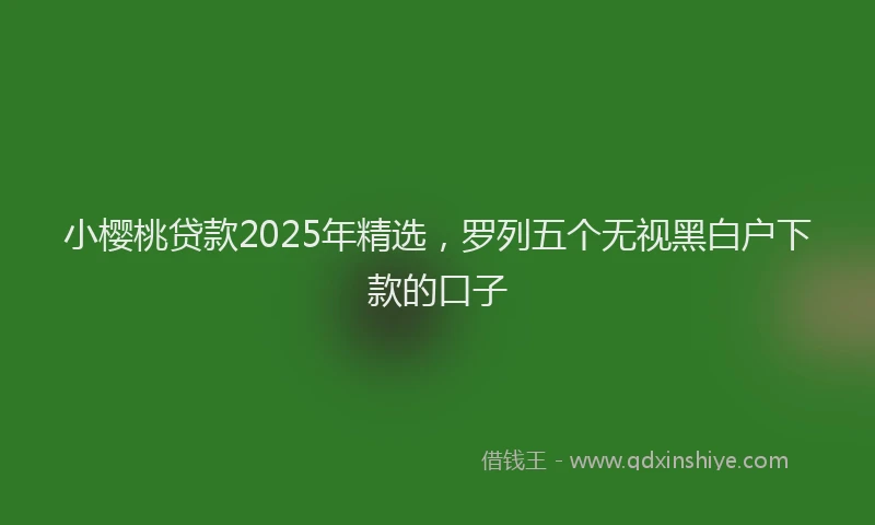 小樱桃贷款2025年精选，罗列五个无视黑白户下款的口子