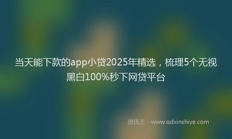当天能下款的app小贷2025年精选，梳理5个无视黑白100%秒下网贷平台