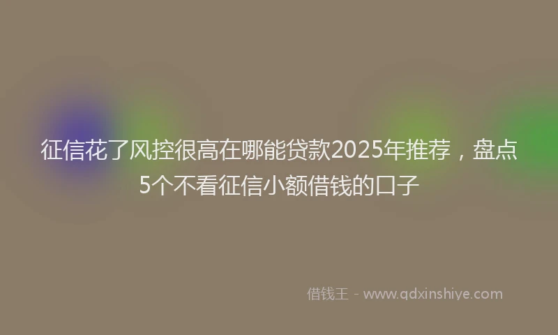 征信花了风控很高在哪能贷款2025年推荐，盘点5个不看征信小额借钱的口子