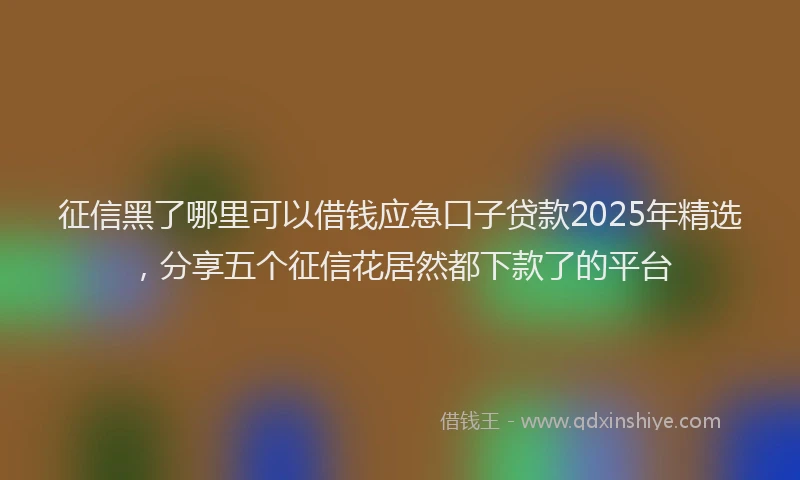 征信黑了哪里可以借钱应急口子贷款2025年精选，分享五个征信花居然都下款了的平台
