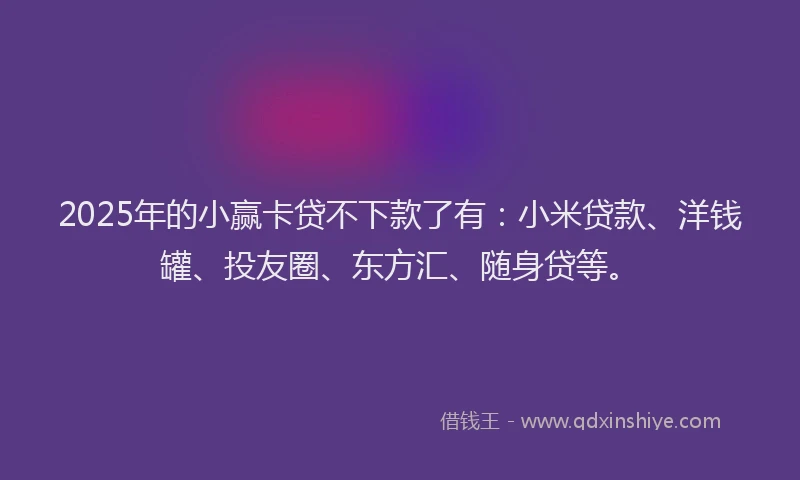 2025年的小赢卡贷不下款了有：小米贷款、洋钱罐、投友圈、东方汇、随身贷等。
