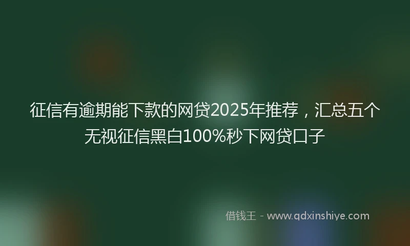 征信有逾期能下款的网贷2025年推荐，汇总五个无视征信黑白100%秒下网贷口子
