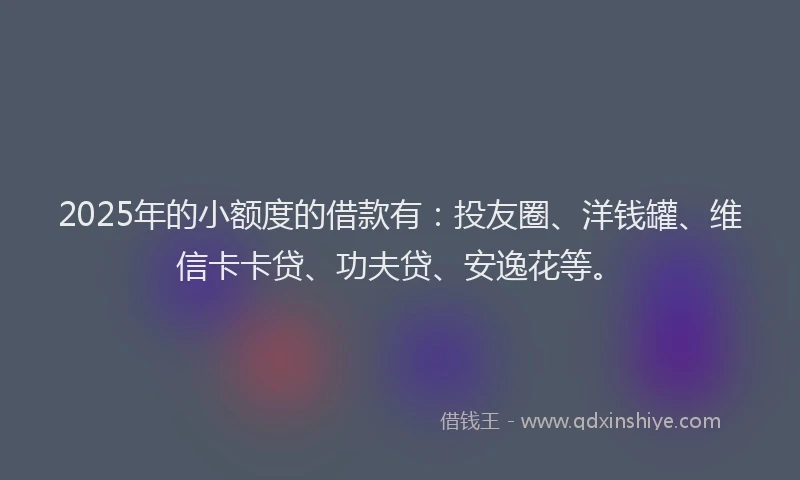 2025年的小额度的借款有：投友圈、洋钱罐、维信卡卡贷、功夫贷、安逸花等。