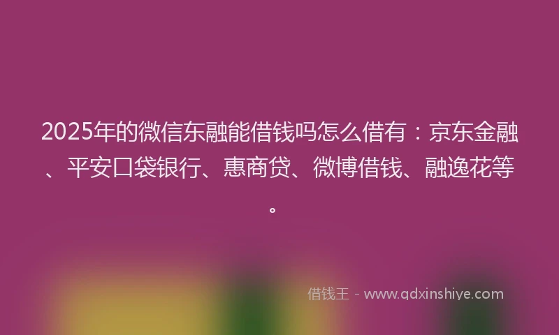 2025年的微信东融能借钱吗怎么借有：京东金融、平安口袋银行、惠商贷、微博借钱、融逸花等。