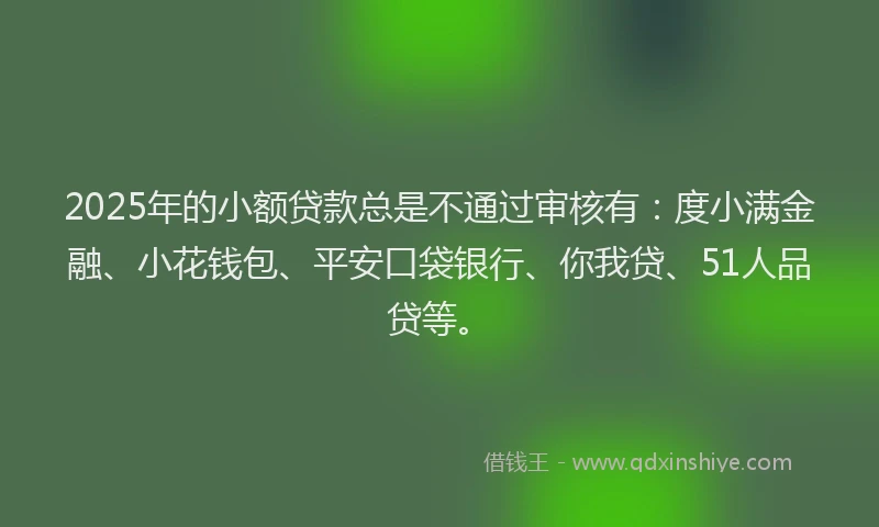 2025年的小额贷款总是不通过审核有：度小满金融、小花钱包、平安口袋银行、你我贷、51人品贷等。