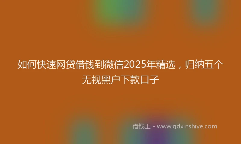 如何快速网贷借钱到微信2025年精选，归纳五个无视黑户下款口子