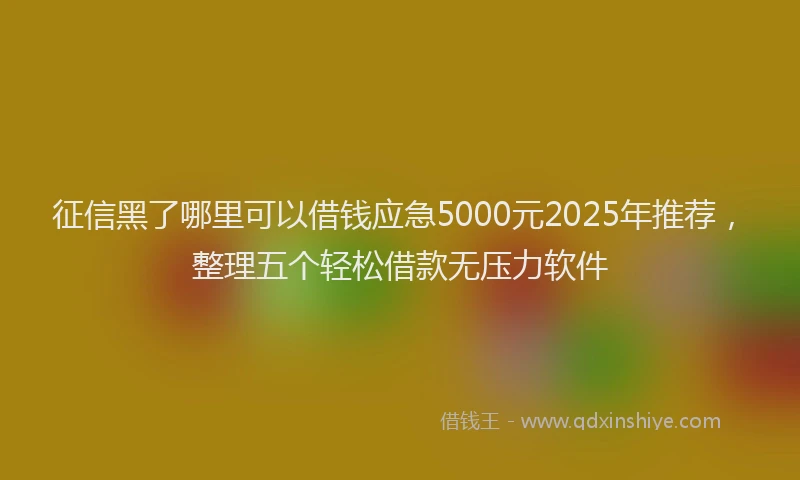 征信黑了哪里可以借钱应急5000元2025年推荐，整理五个轻松借款无压力软件