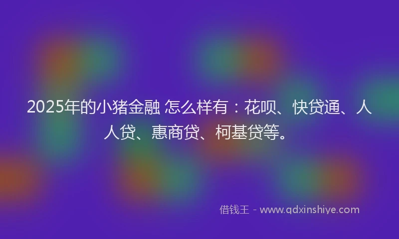 2025年的小猪金融 怎么样有：花呗、快贷通、人人贷、惠商贷、柯基贷等。