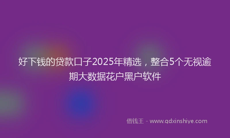 好下钱的贷款口子2025年精选，整合5个无视逾期大数据花户黑户软件