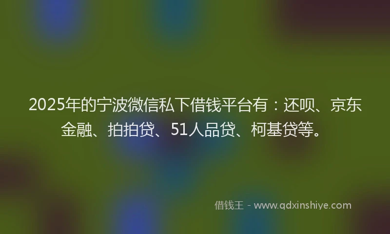 2025年的宁波微信私下借钱平台有：还呗、京东金融、拍拍贷、51人品贷、柯基贷等。