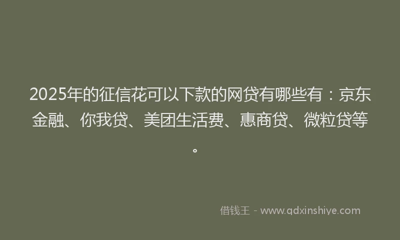 2025年的征信花可以下款的网贷有哪些有：京东金融、你我贷、美团生活费、惠商贷、微粒贷等。