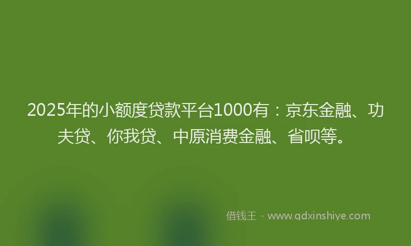2025年的小额度贷款平台1000有：京东金融、功夫贷、你我贷、中原消费金融、省呗等。
