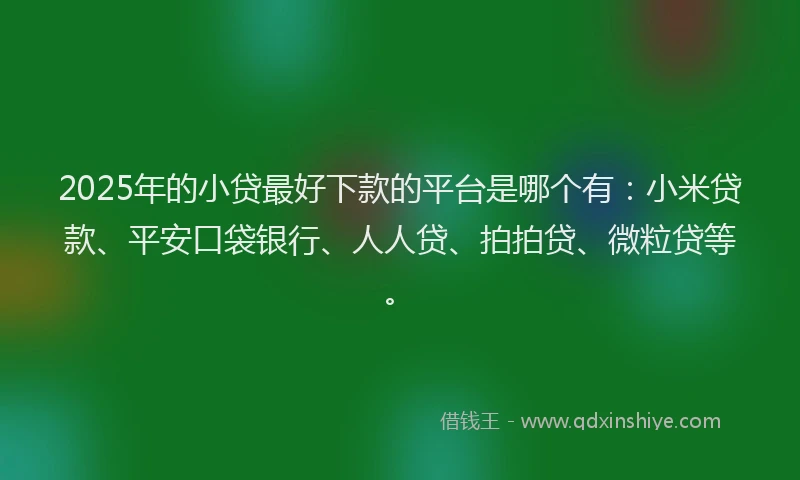2025年的小贷最好下款的平台是哪个有：小米贷款、平安口袋银行、人人贷、拍拍贷、微粒贷等。