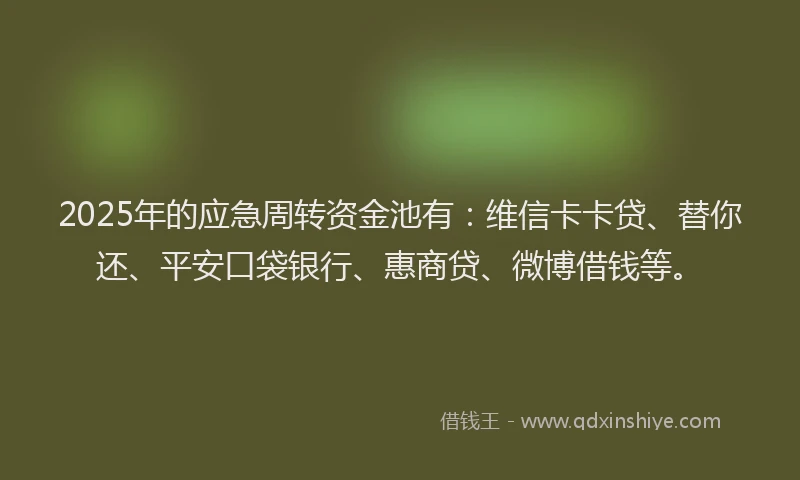 2025年的应急周转资金池有：维信卡卡贷、替你还、平安口袋银行、惠商贷、微博借钱等。