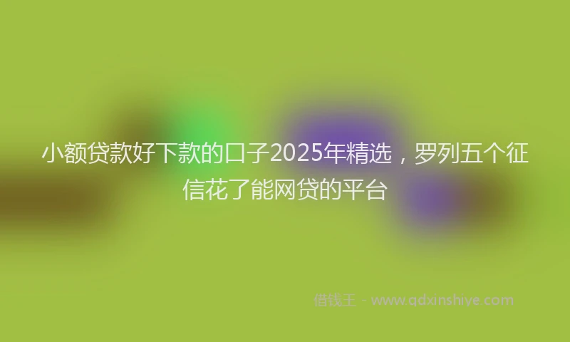小额贷款好下款的口子2025年精选，罗列五个征信花了能网贷的平台