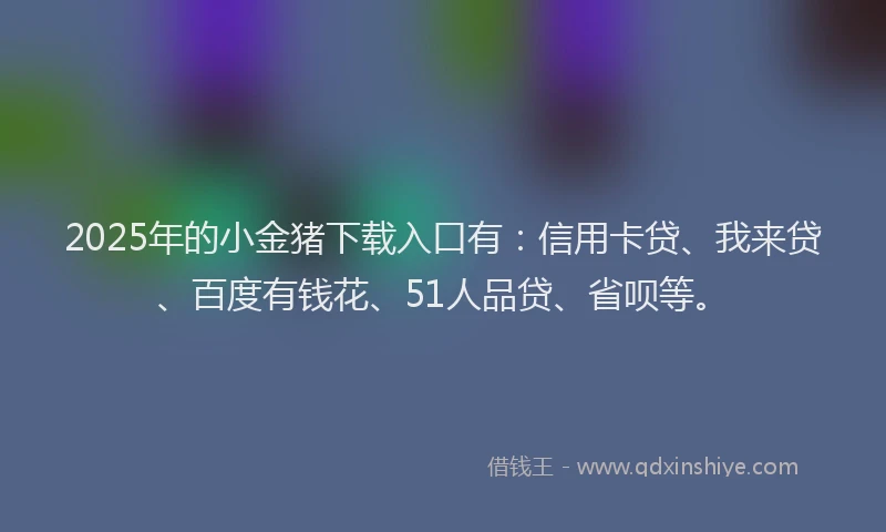 2025年的小金猪下载入口有：信用卡贷、我来贷、百度有钱花、51人品贷、省呗等。
