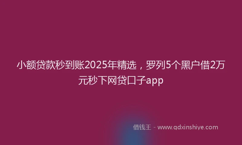 小额贷款秒到账2025年精选，罗列5个黑户借2万元秒下网贷口子app