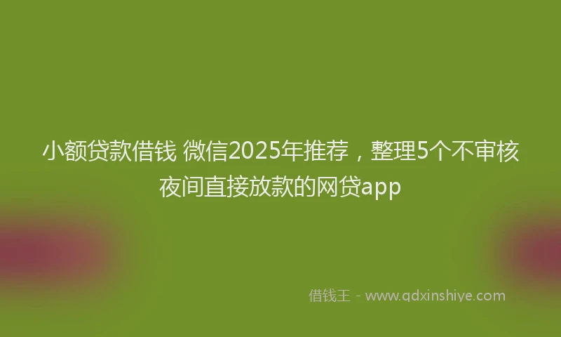 小额贷款借钱 微信2025年推荐，整理5个不审核夜间直接放款的网贷app
