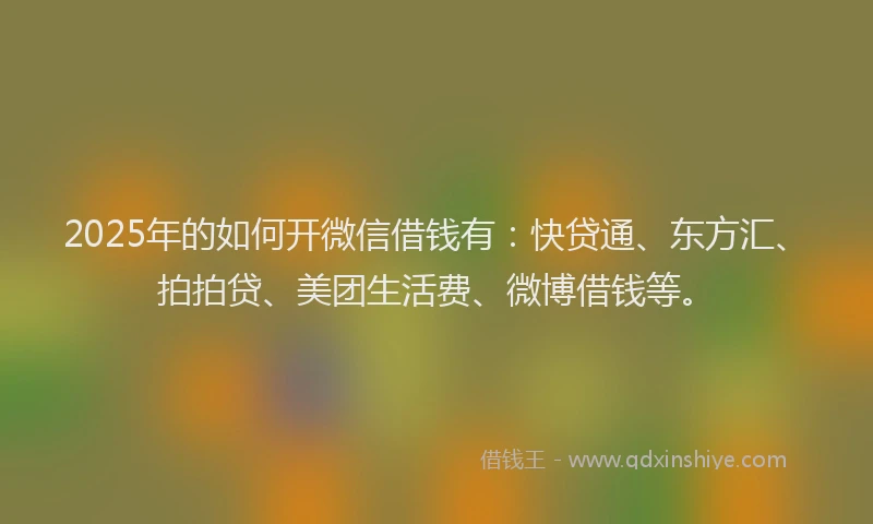 2025年的如何开微信借钱有：快贷通、东方汇、拍拍贷、美团生活费、微博借钱等。