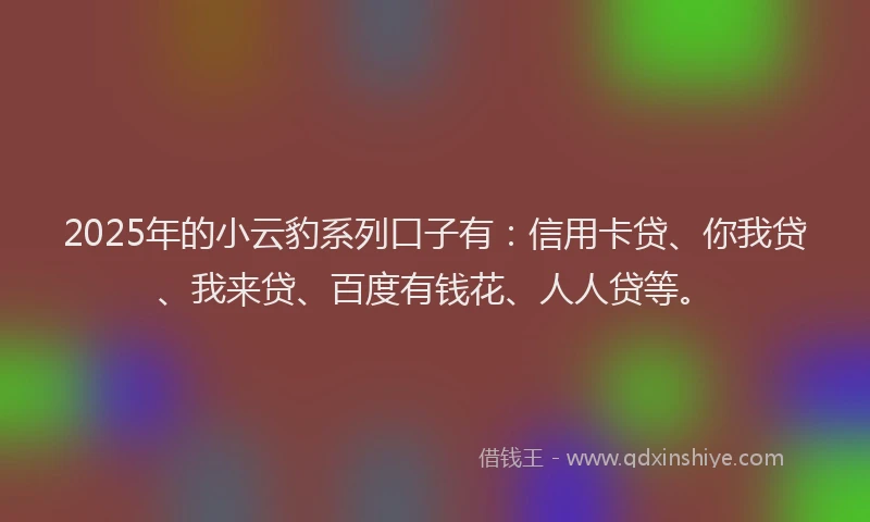 2025年的小云豹系列口子有：信用卡贷、你我贷、我来贷、百度有钱花、人人贷等。