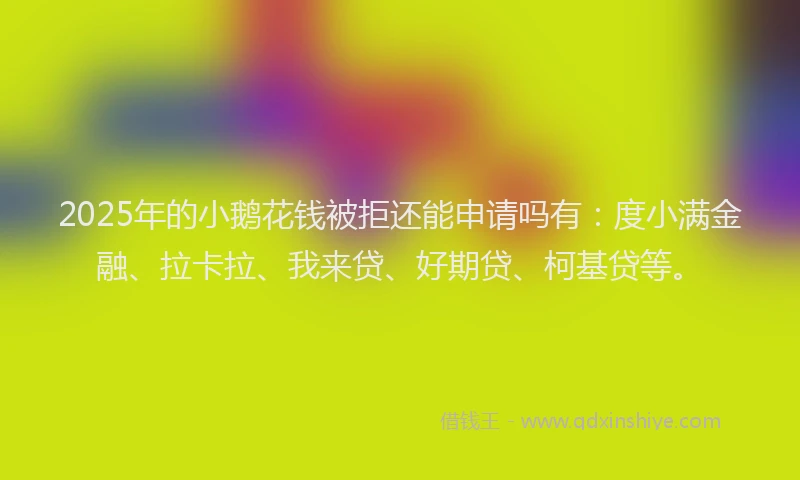2025年的小鹅花钱被拒还能申请吗有：度小满金融、拉卡拉、我来贷、好期贷、柯基贷等。