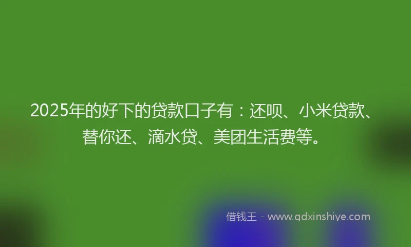 2025年的好下的贷款口子有：还呗、小米贷款、替你还、滴水贷、美团生活费等。