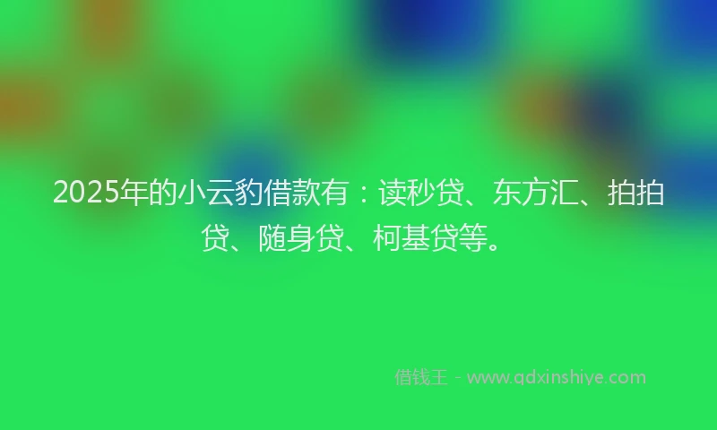 2025年的小云豹借款有：读秒贷、东方汇、拍拍贷、随身贷、柯基贷等。