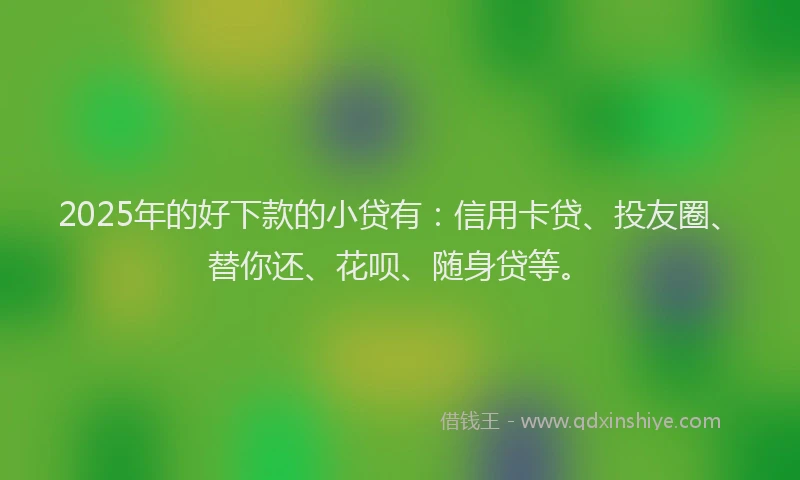 2025年的好下款的小贷有：信用卡贷、投友圈、替你还、花呗、随身贷等。