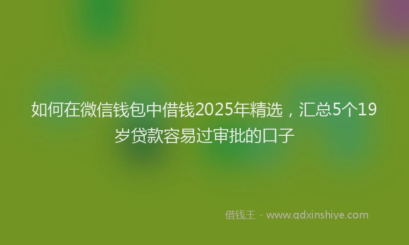 如何在微信钱包中借钱2025年精选，汇总5个19岁贷款容易过审批的口子