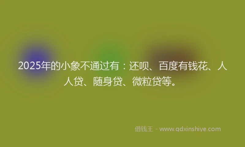 2025年的小象不通过有：还呗、百度有钱花、人人贷、随身贷、微粒贷等。