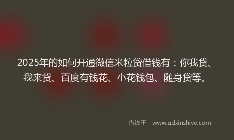 2025年的如何开通微信米粒贷借钱有：你我贷、我来贷、百度有钱花、小花钱包、随身贷等。